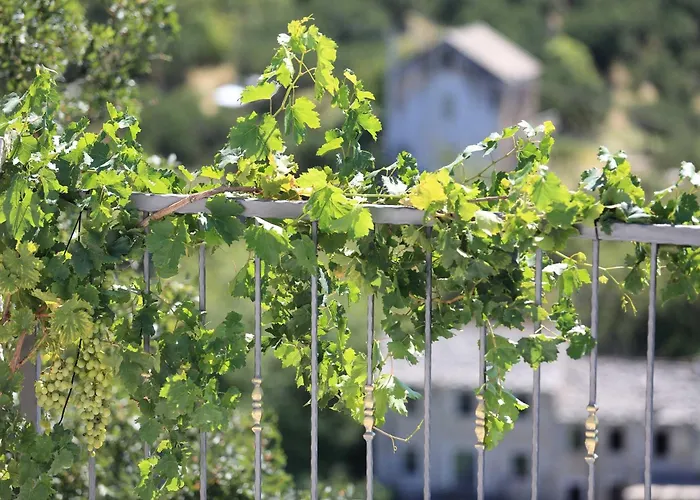 Family Friendly House With A Swimming Pool - 22882 בית נופש *